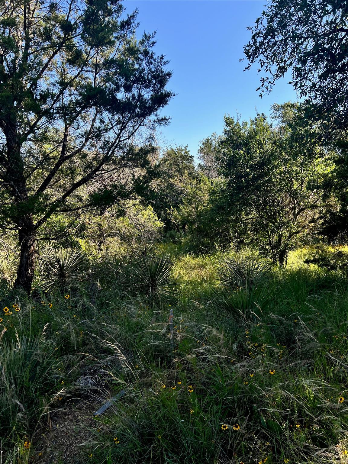Tbd Castlelake Drive Granite Shoals TX 78654