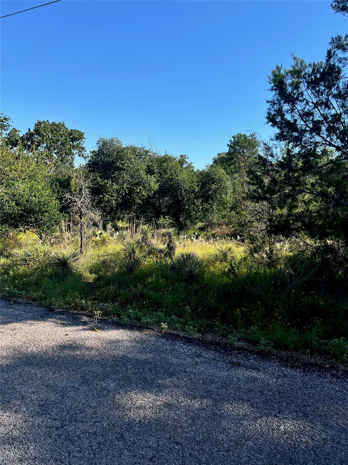 Tbd Castlelake Drive Granite Shoals TX 78654