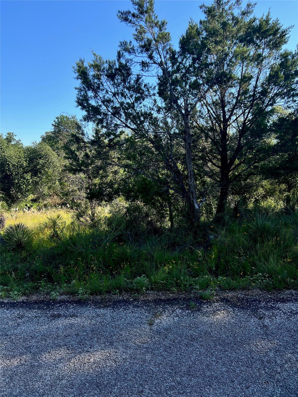Tbd Castlelake Drive Granite Shoals TX 78654