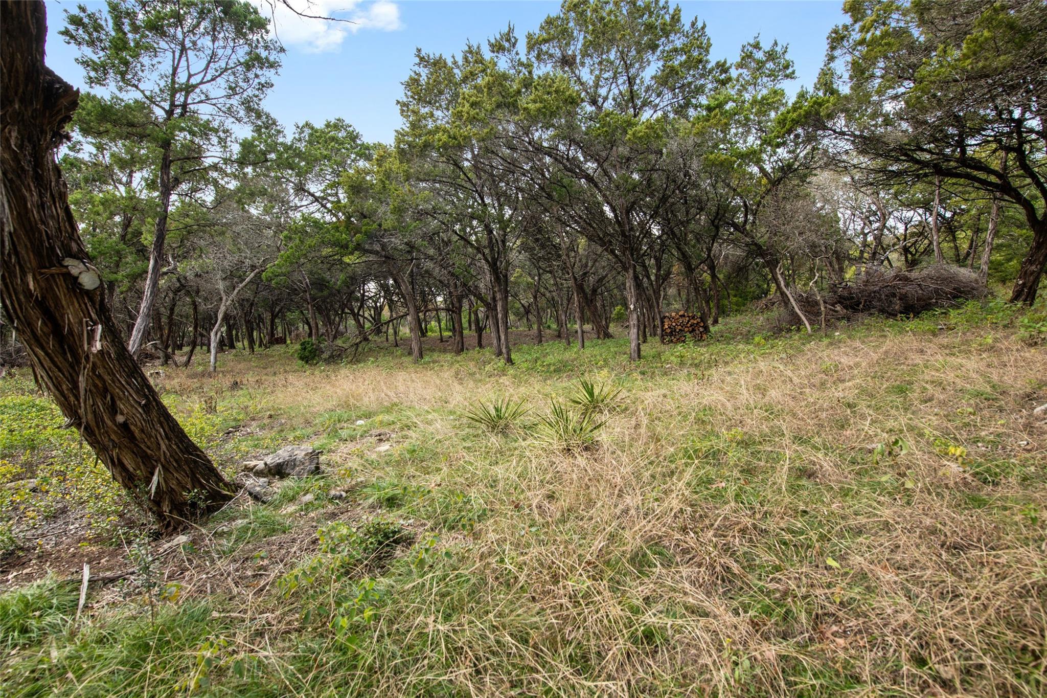1453 Wild Basin Ledge Street Austin TX 78746