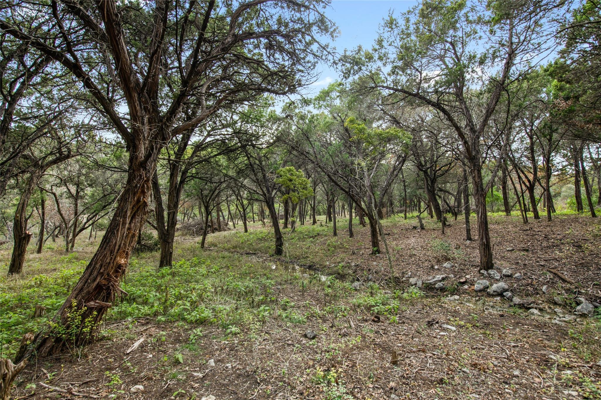 1453 Wild Basin Ledge Street Austin TX 78746