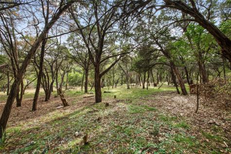 1453 Wild Basin Ledge Street Austin TX 78746