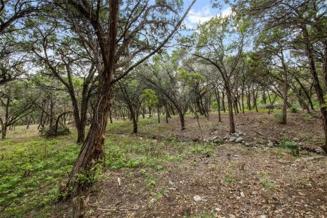 1453 Wild Basin Ledge Street Austin TX 78746