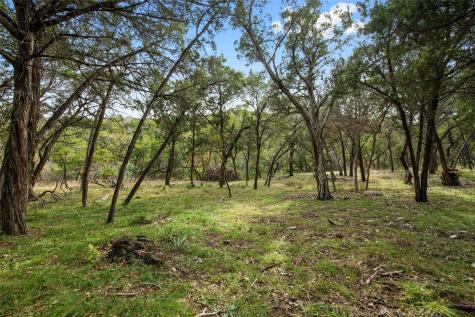 1453 Wild Basin Ledge Street Austin TX 78746