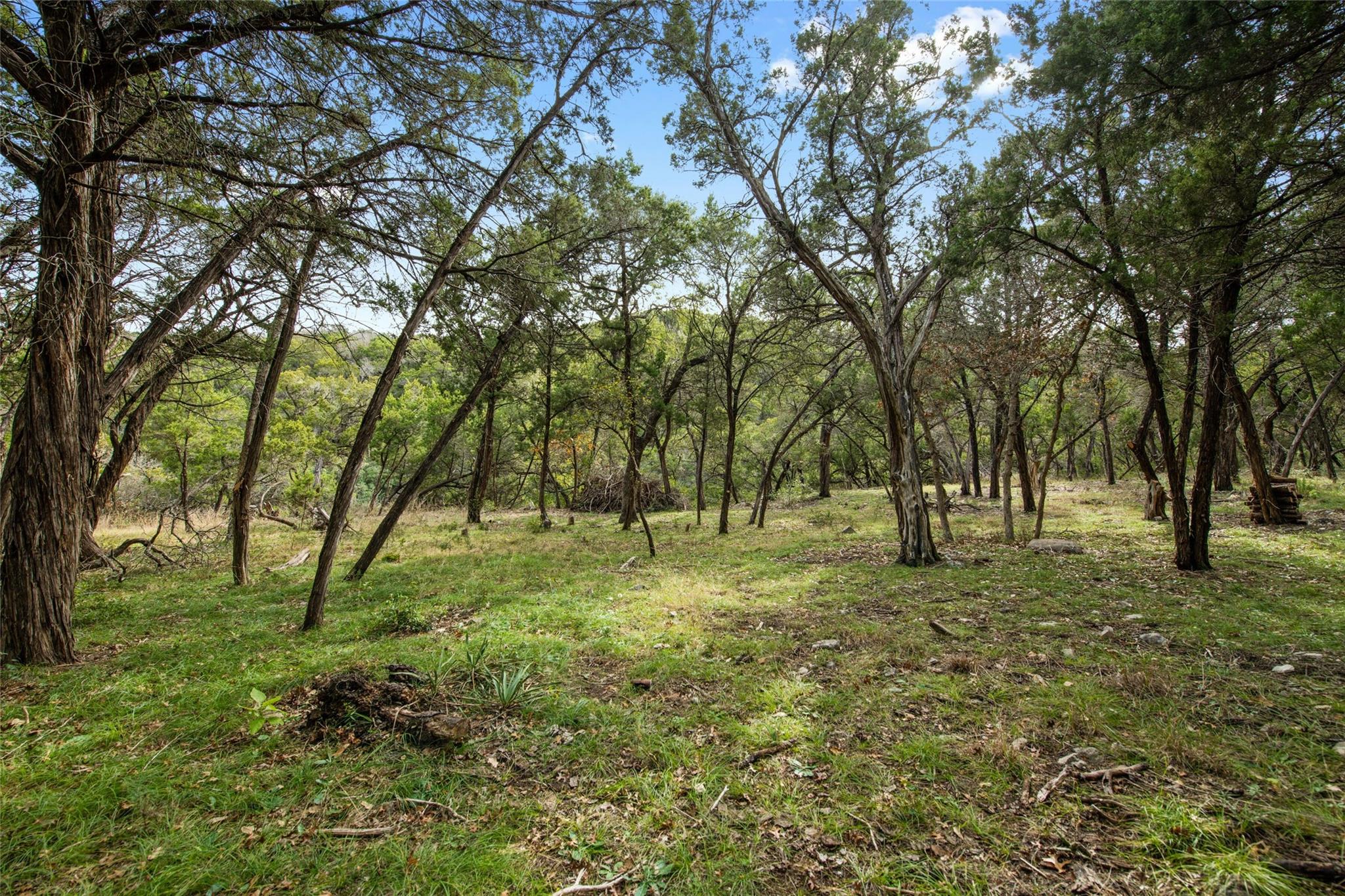 1453 Wild Basin Ledge Street Austin TX 78746