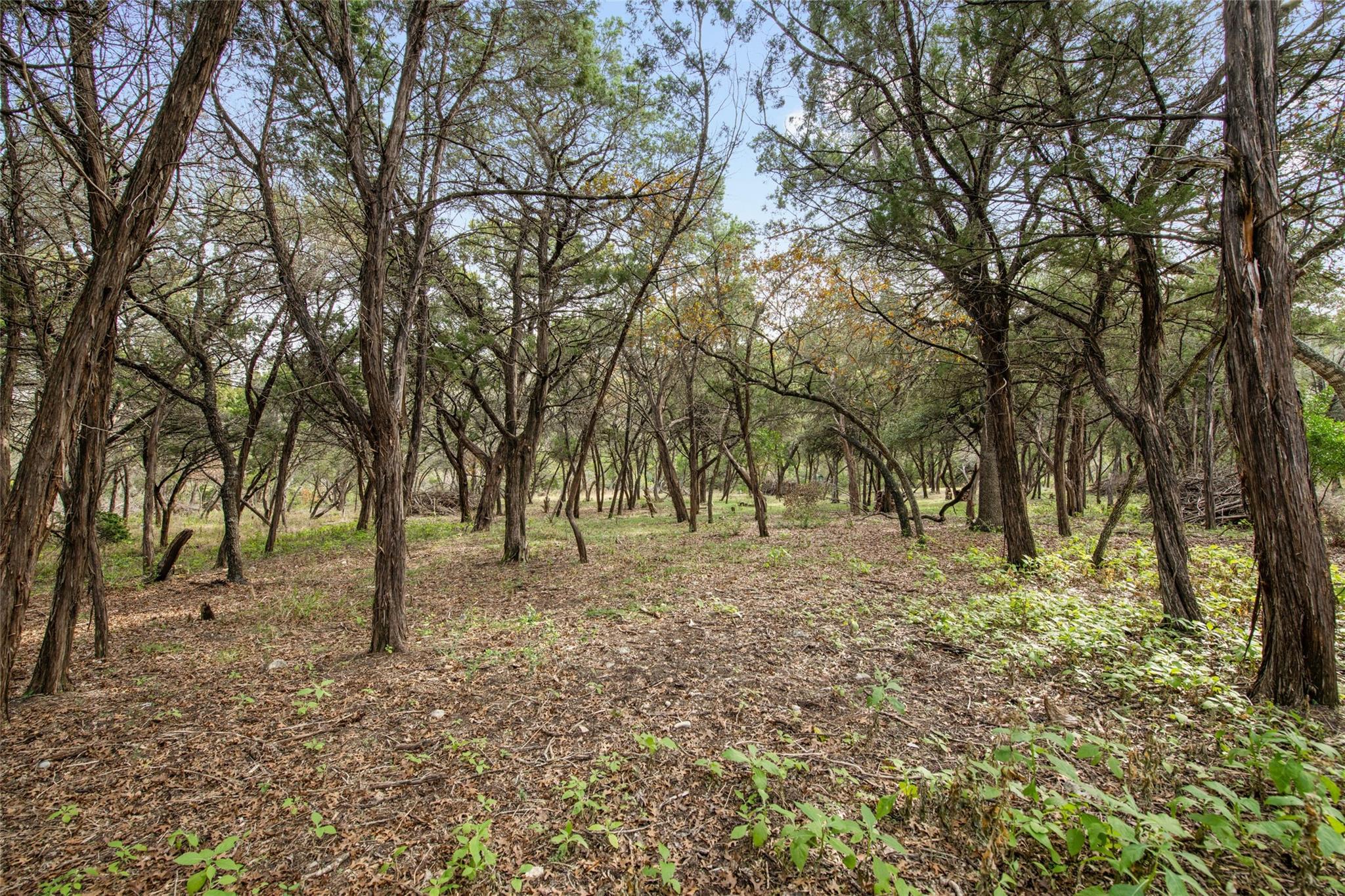 1453 Wild Basin Ledge Street Austin TX 78746