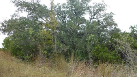 20815 Rawhide Trail Lago Vista TX 78645