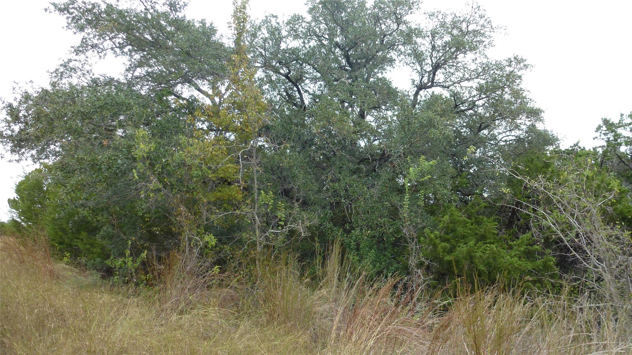 20815 Rawhide Trail Lago Vista TX 78645