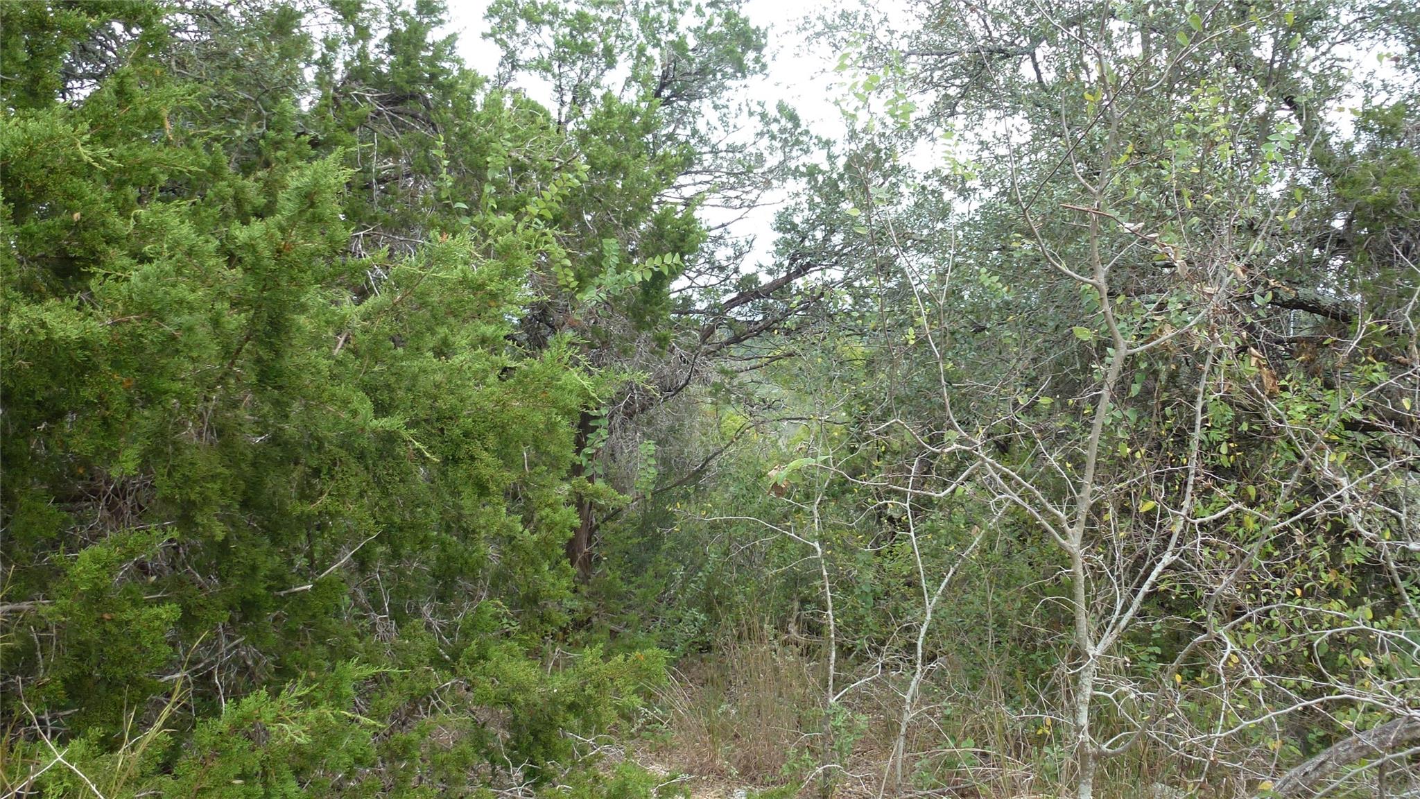 20815 Rawhide Trail Lago Vista TX 78645