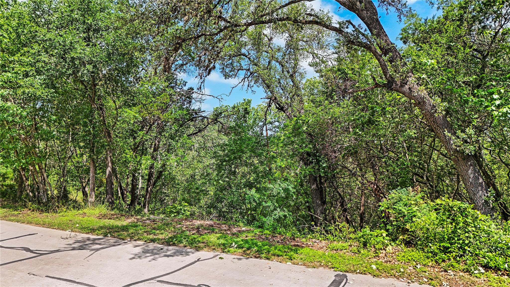 000000 River Oaks Drive Austin TX 78748