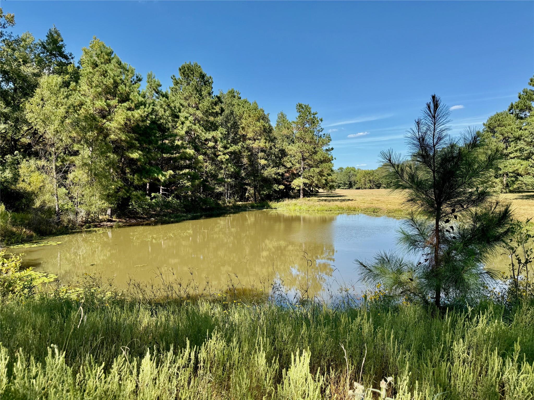 Tbd County Road 4025 Lovelady TX 75851