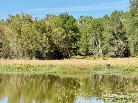 Tbd County Road 4025 Lovelady TX 75851