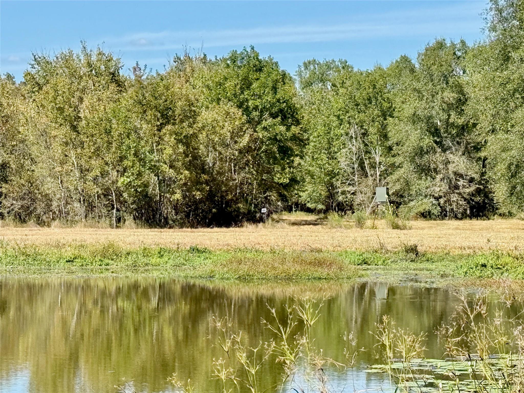 Tbd County Road 4025 Lovelady TX 75851