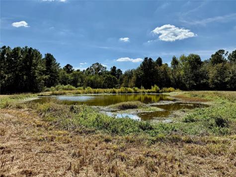 Tbd County Road 4025 Lovelady TX 75851