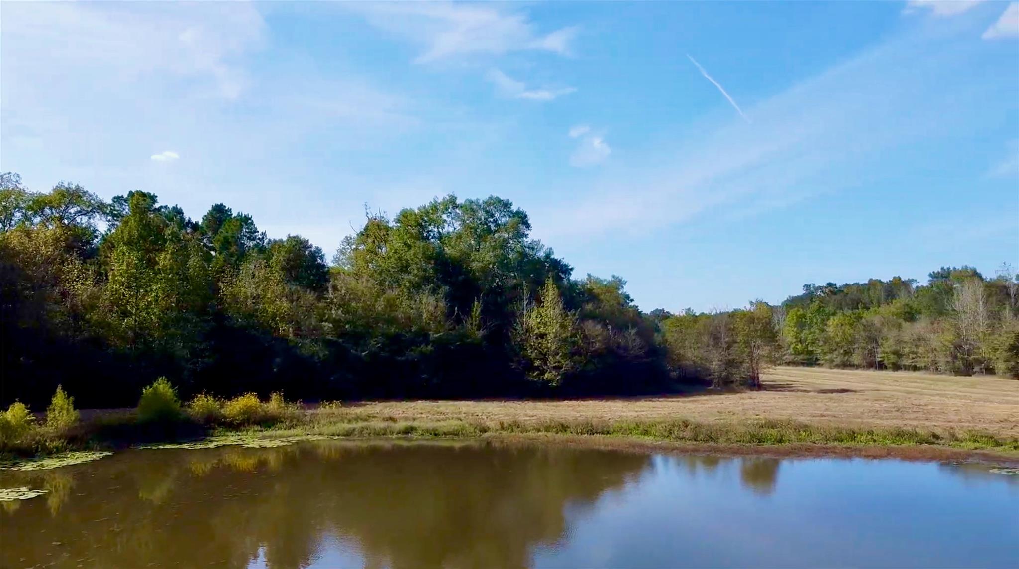 Tbd County Road 4025 Lovelady TX 75851