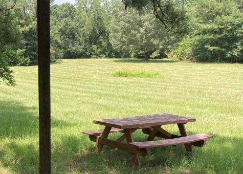 Tbd County Road 4025 Lovelady TX 75851
