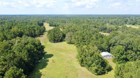 Tbd County Road 4025 Lovelady TX 75851