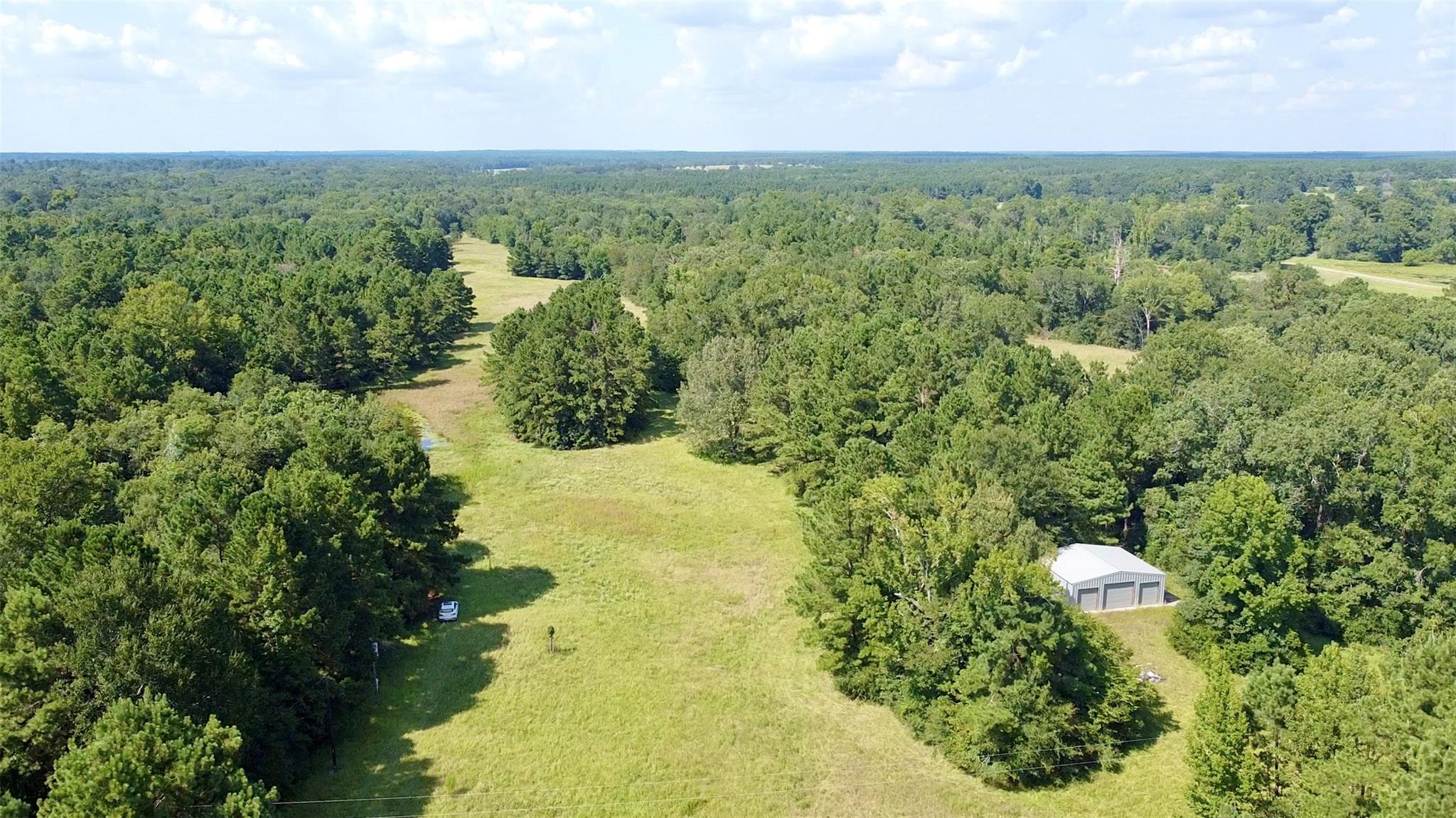 Tbd County Road 4025 Lovelady TX 75851