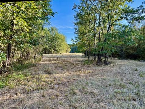 Tbd County Road 4025 Lovelady TX 75851