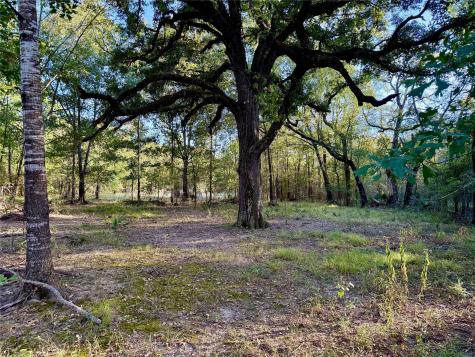 0 County Road 4025 Lovelady TX 75851