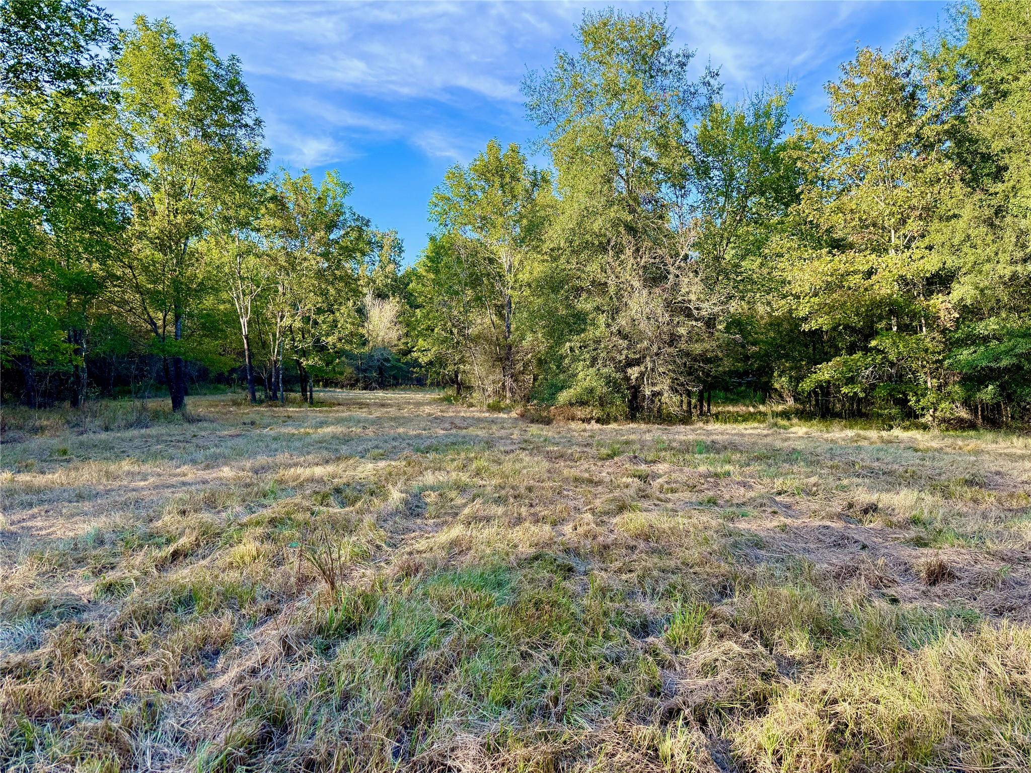 Tbd County Road 4025 Lovelady TX 75851