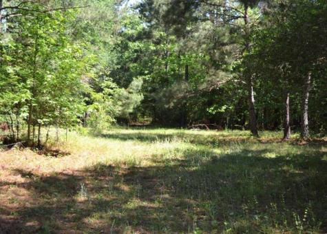 Tbd County Road 4025 Lovelady TX 75851