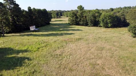Tbd County Road 4025 Lovelady TX 75851