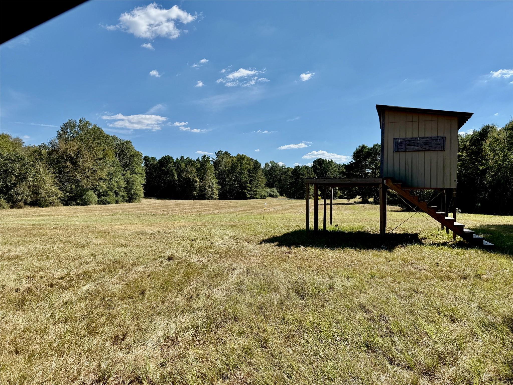 Tbd County Road 4025 Lovelady TX 75851