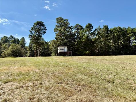 Tbd County Road 4025 Lovelady TX 75851