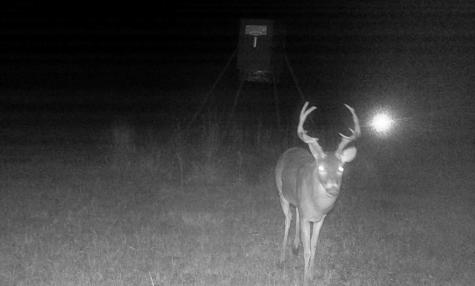 Tbd County Road 4025 Lovelady TX 75851