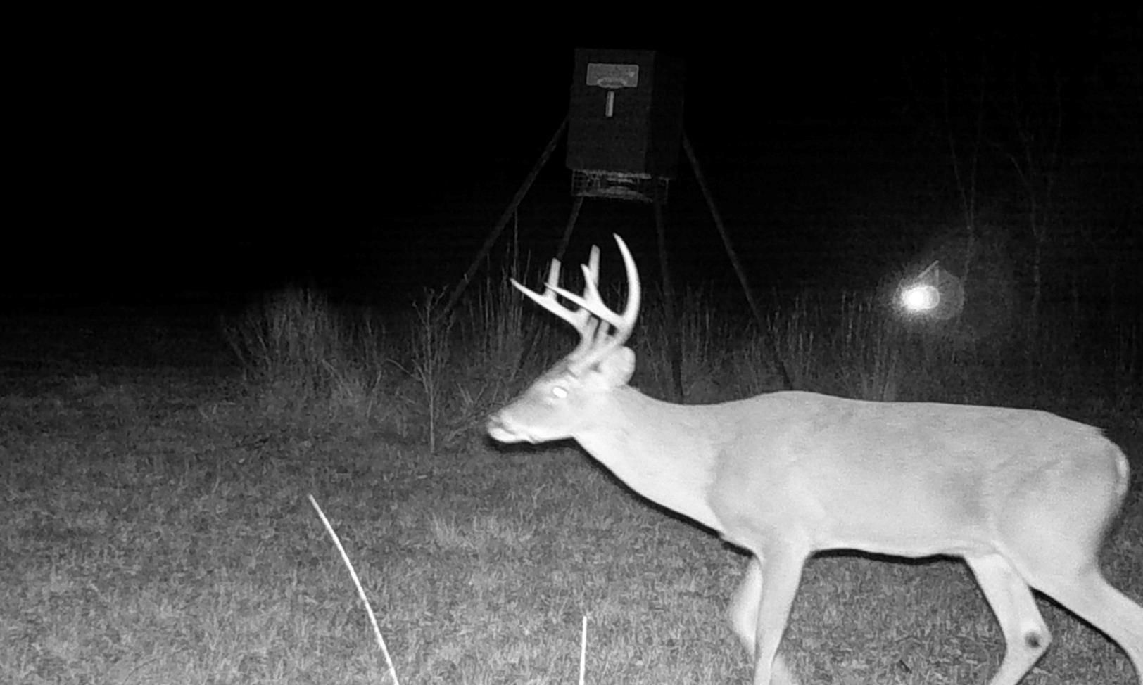 Tbd County Road 4025 Lovelady TX 75851