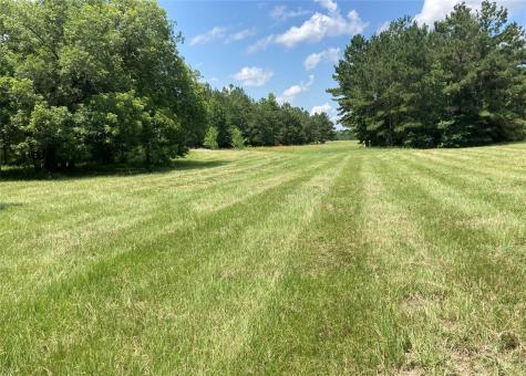 Tbd County Road 4025 Lovelady TX 75851