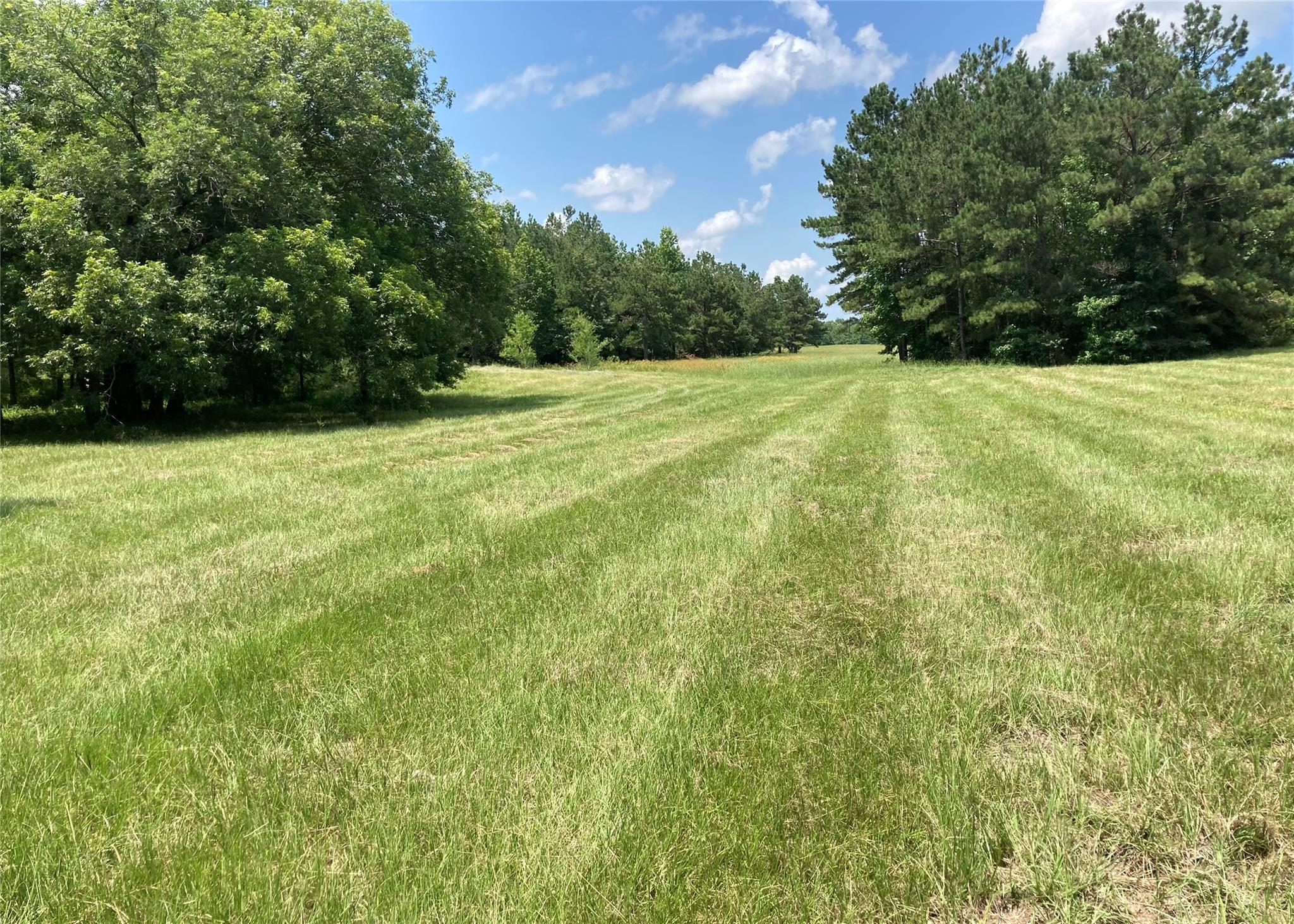 Tbd County Road 4025 Lovelady TX 75851