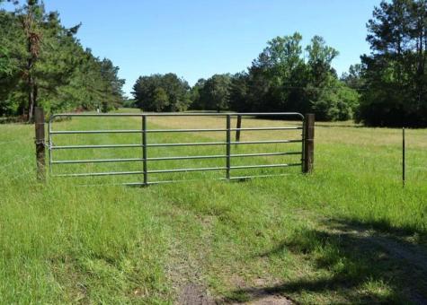Tbd County Road 4025 Lovelady TX 75851
