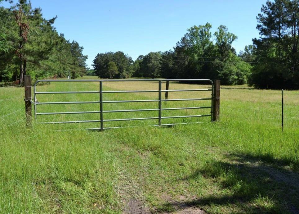 Tbd County Road 4025 Lovelady TX 75851