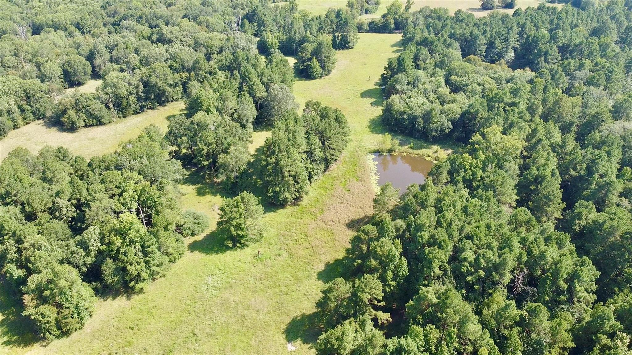 Tbd County Road 4025 Lovelady TX 75851