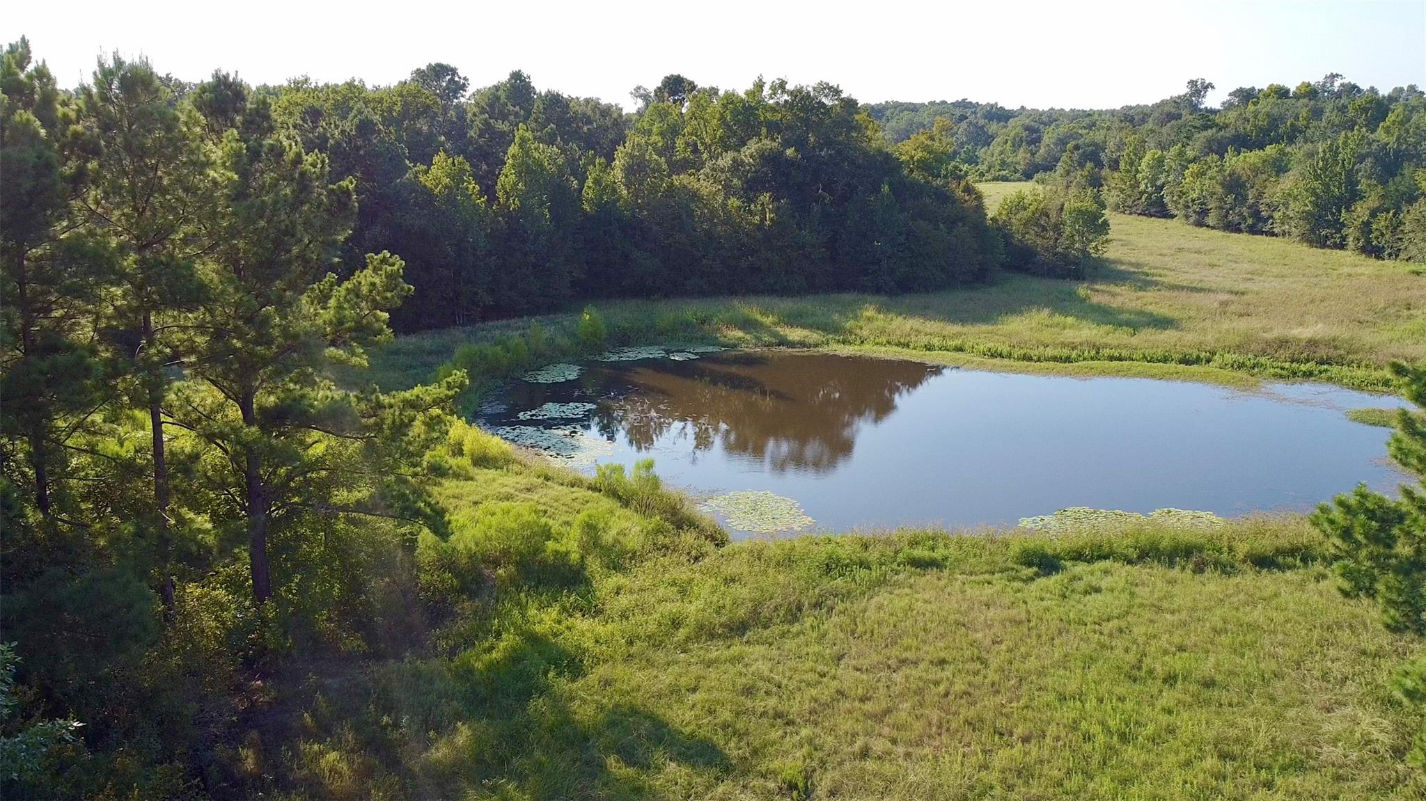 Tbd County Road 4025 Lovelady TX 75851
