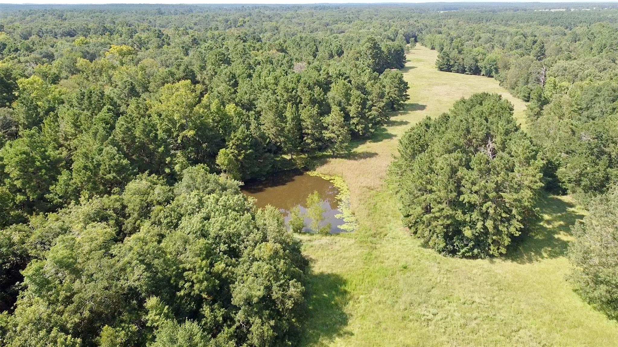 Tbd County Road 4025 Lovelady TX 75851