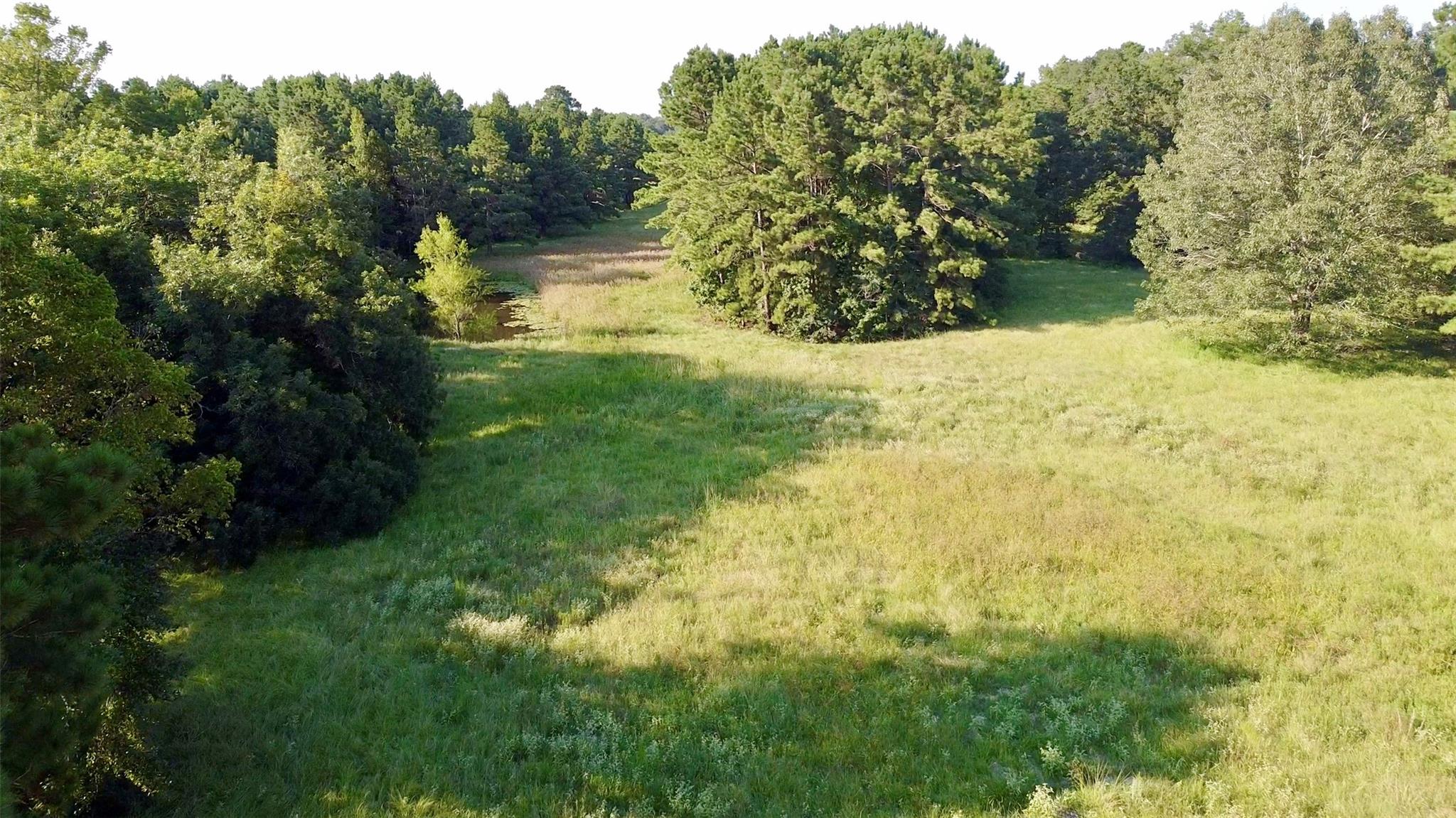 Tbd County Road 4025 Lovelady TX 75851