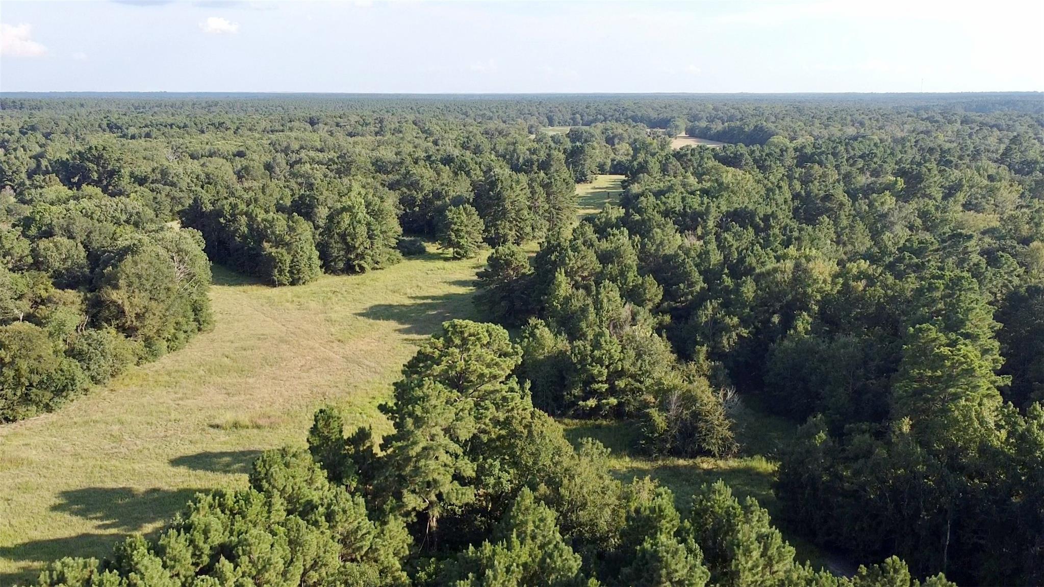 Tbd County Road 4025 Lovelady TX 75851