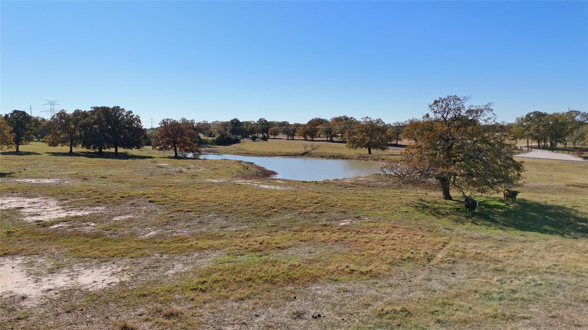 Tbd Cr 481 Tract 2 Thrall TX 76578