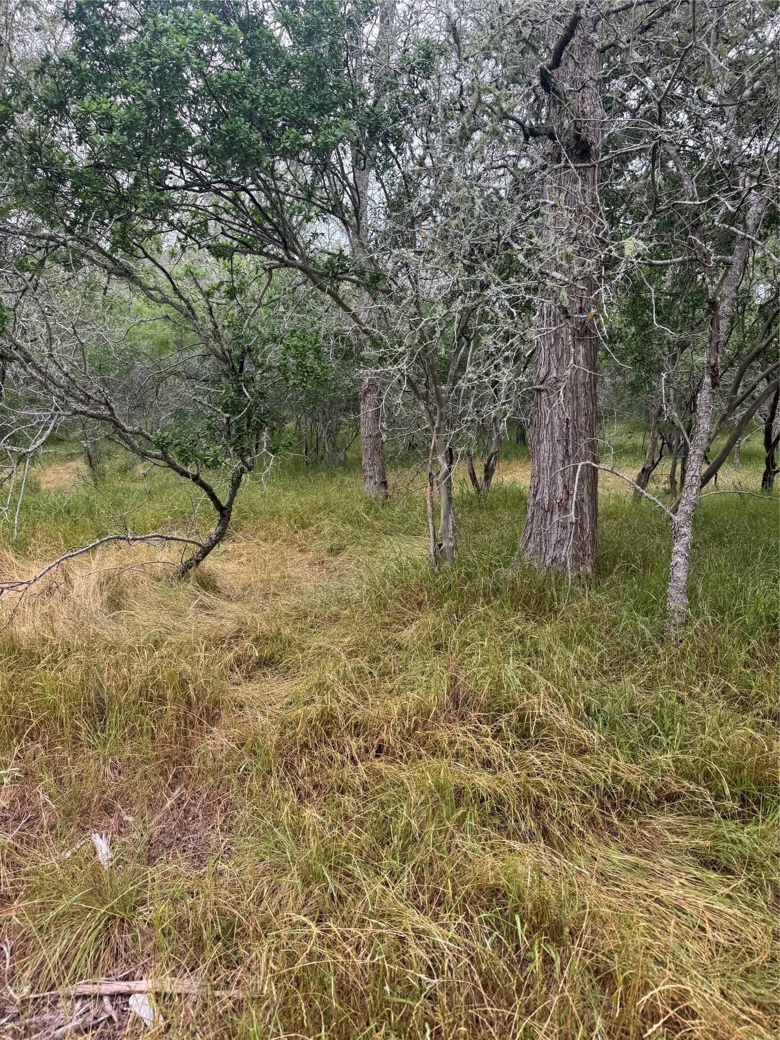 109 Hauula Court Bastrop TX 78602