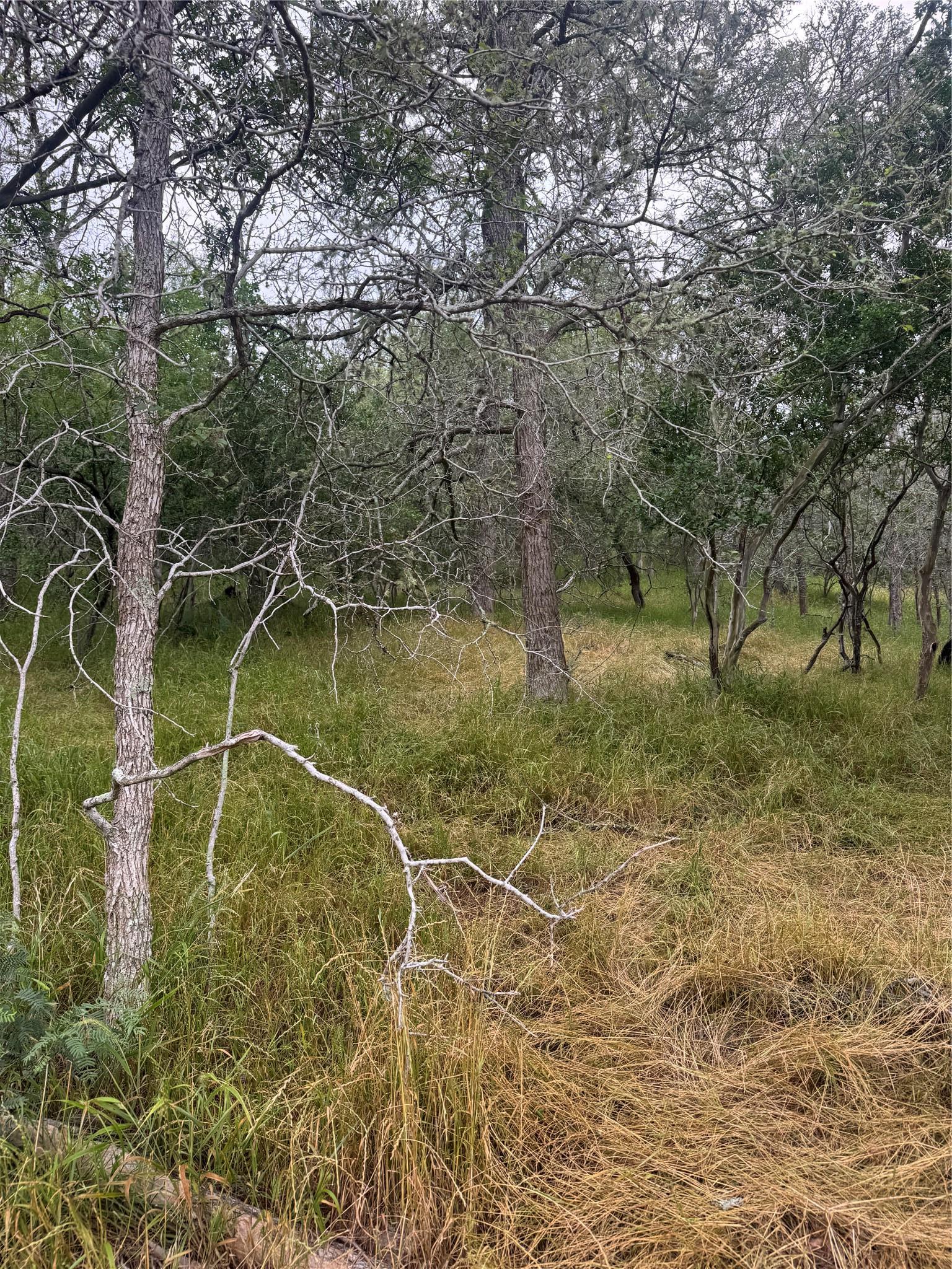 109 Hauula Court Bastrop TX 78602