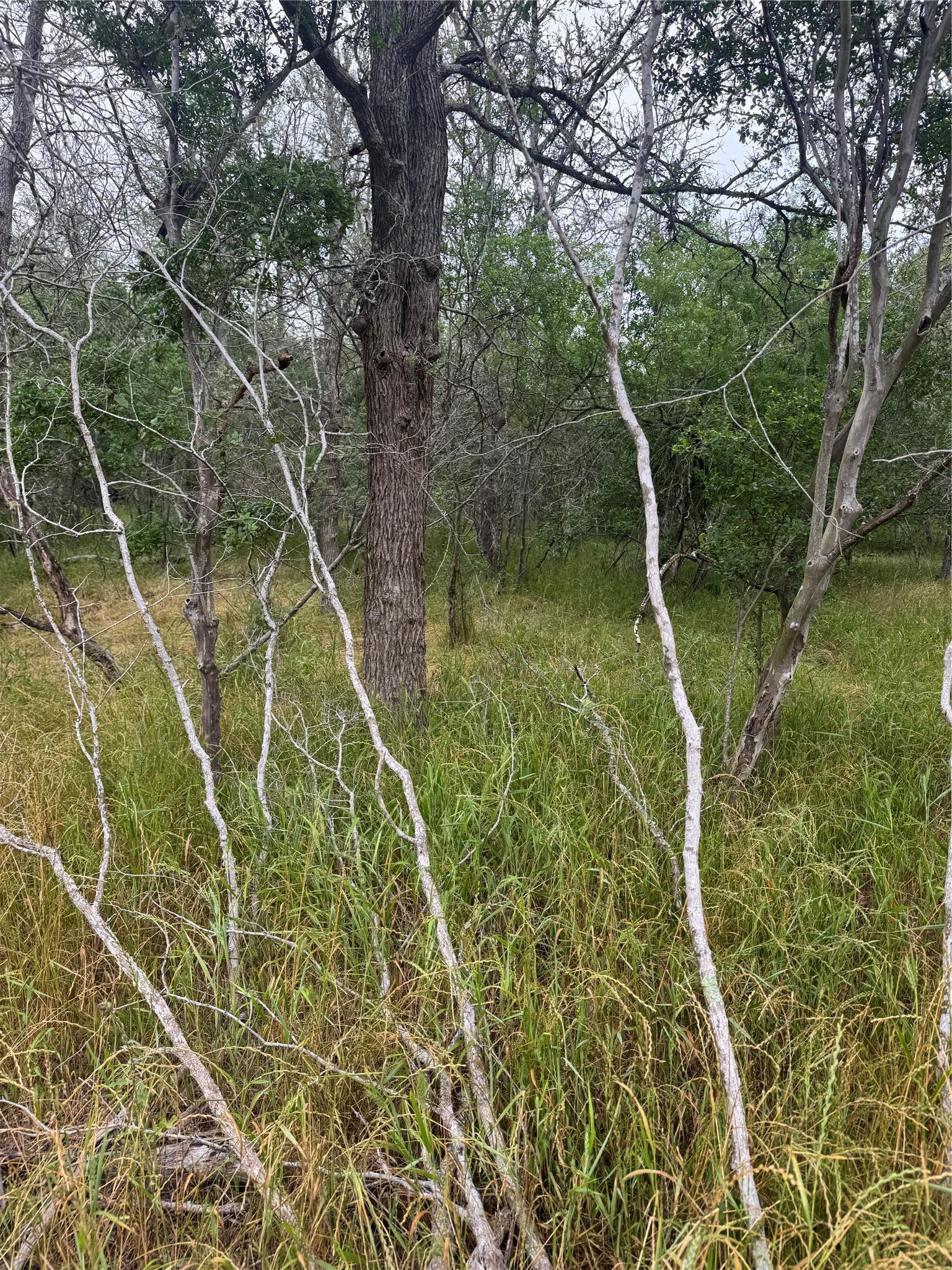 109 Hauula Court Bastrop TX 78602