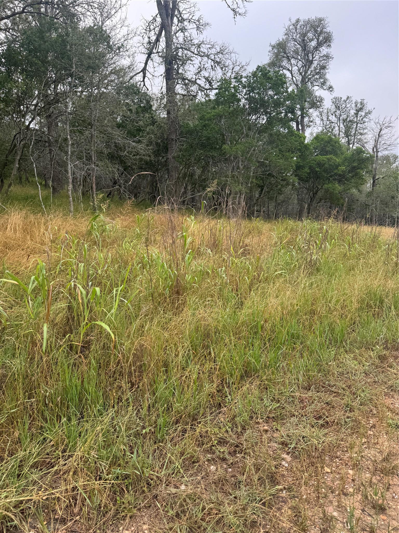 109 Hauula Court Bastrop TX 78602