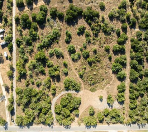 401 Spotted Horse Trail Dale TX 78616