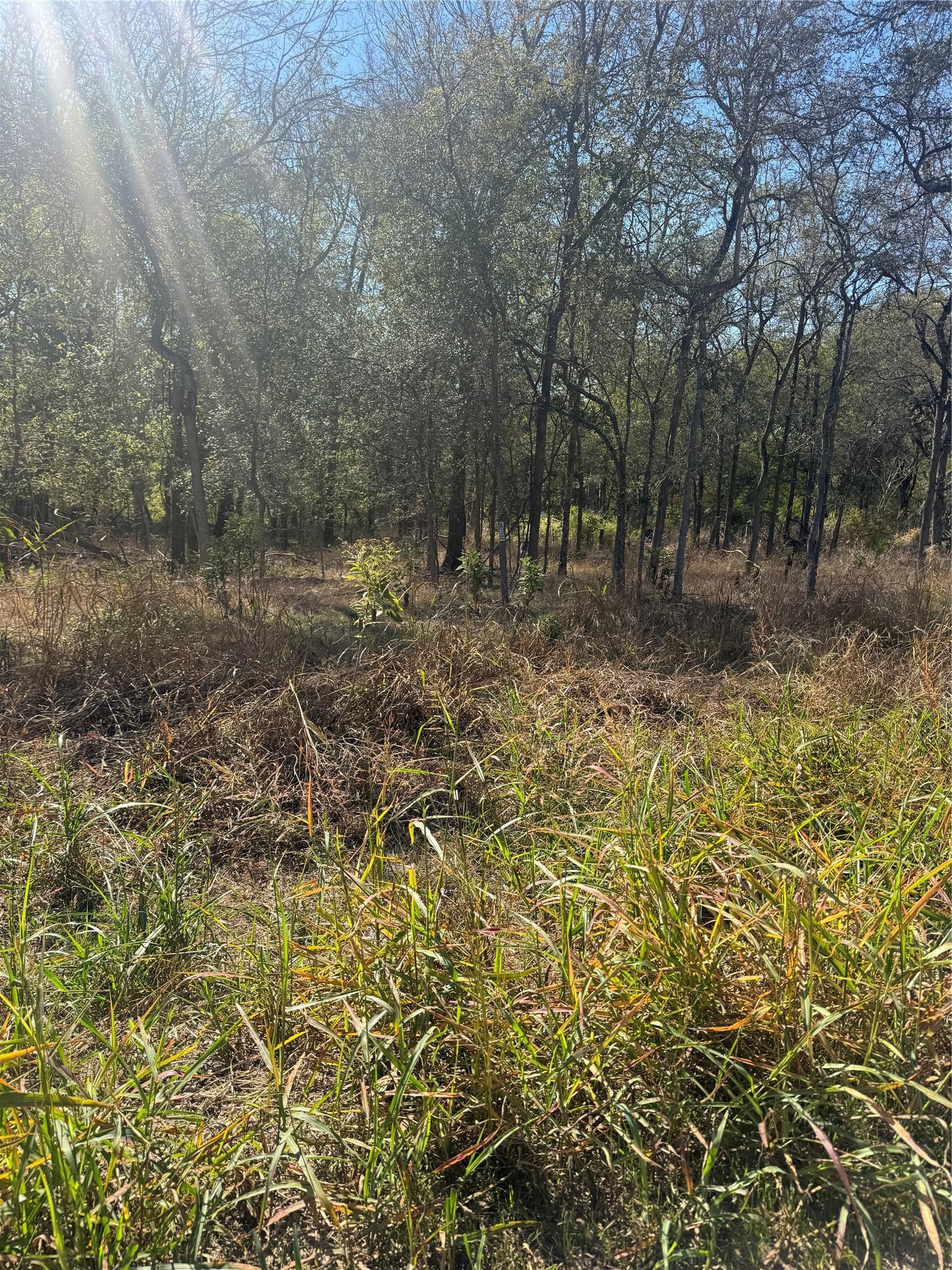 221 Kahana Lane Bastrop TX 78602