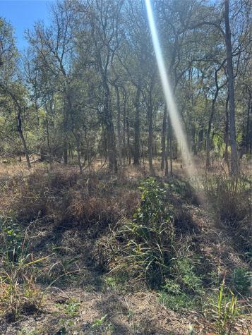 221 Kahana Lane Bastrop TX 78602