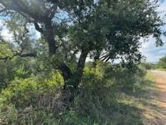 0 Lunar Drive Burnet TX 78611