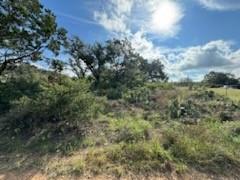 0 Lunar Drive Burnet TX 78611